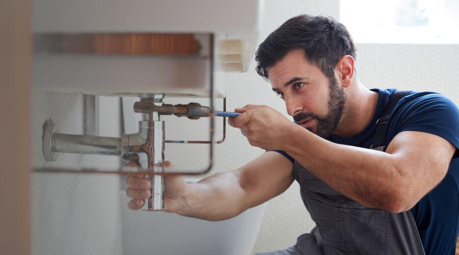 Trap Repair/Replacement in Spruce, MI